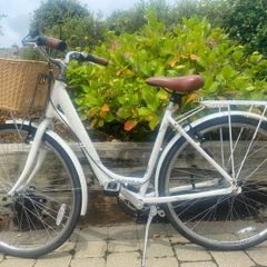 Ladies Bicycle Raleigh