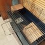 small pet cage Image 4