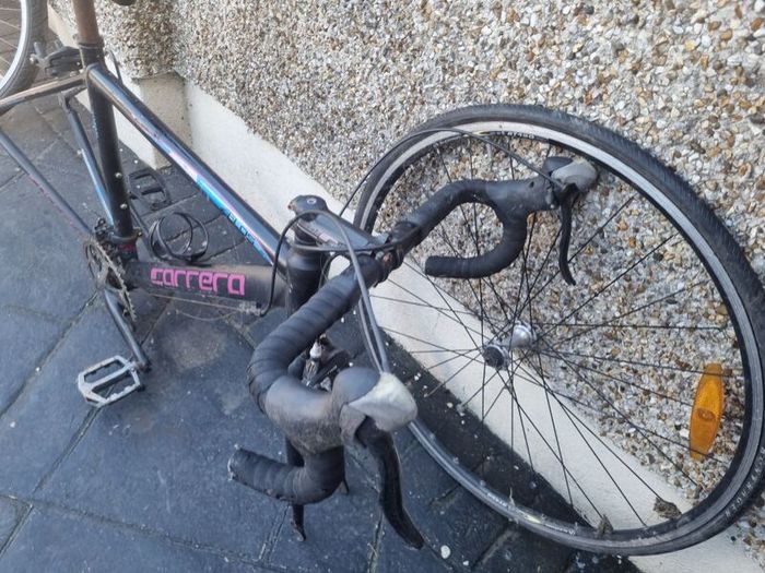 carrera frame