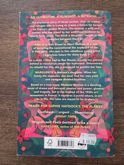 Madame Matisse Sophie Haydock Book