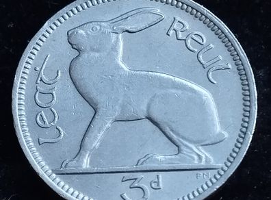 Ireland - 1953 - 3 Pence - Hare - GEF - KM.12a - [2723]