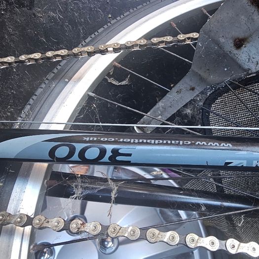 ladys bike
