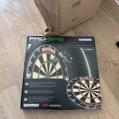Dart board and wall protector