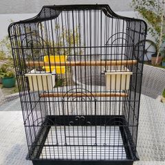 Bird Cage