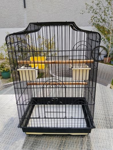 Bird Cage