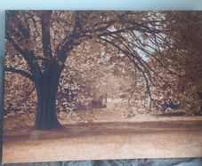 Large canvas