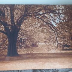 Large canvas
