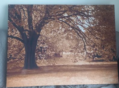 Large canvas