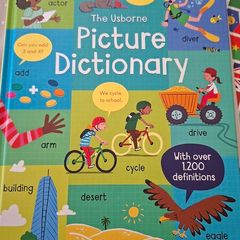 Brand new kids picture Dictionary and activity books
