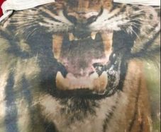 Boys teeshirt age 11/12