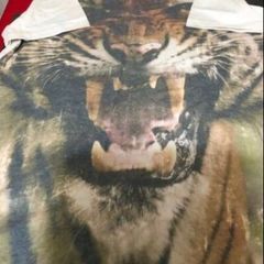 Boys teeshirt age 11/12
