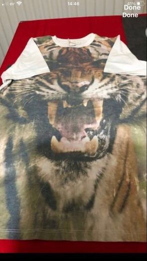 Boys teeshirt age 11/12
