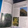 Pocket edition gardening book Image 5