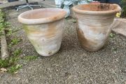 terracota pots