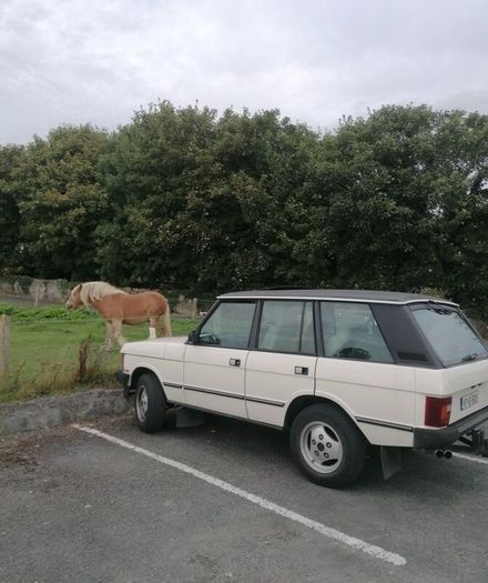 Land Rover Range Rover 1987