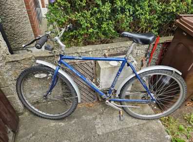 Mountain Bike