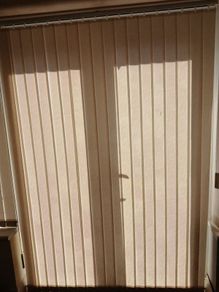 Vertical Blind