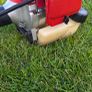 Shindaiwa strimmer Image 4