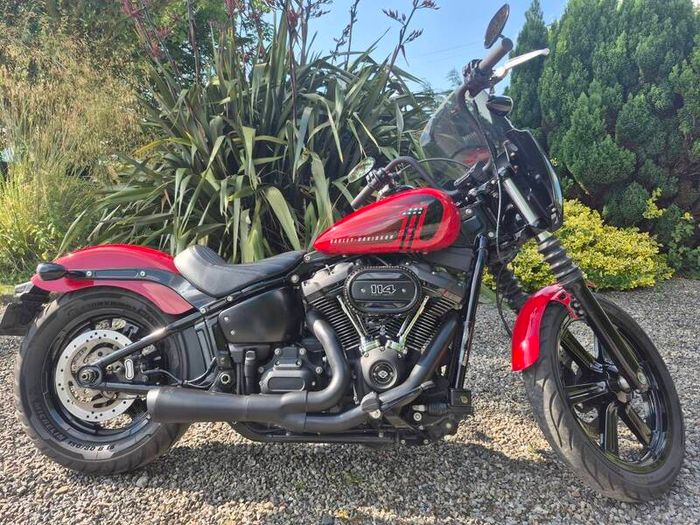2024 Harley Davidson Street Bob
