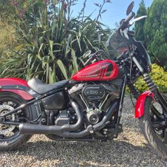 2024 Harley Davidson Street Bob