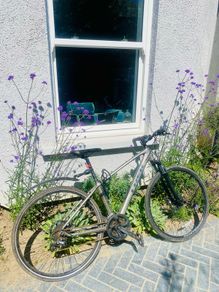 Trek bike