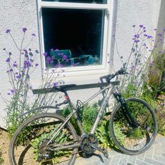 Trek bike