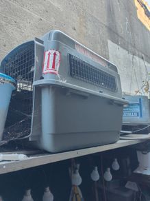 Pet box