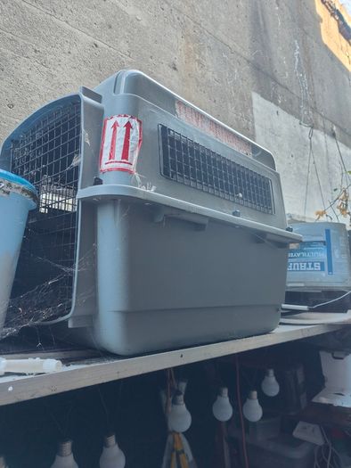 Pet box