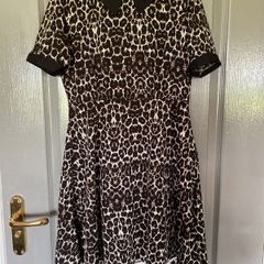 ladies dress
