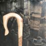 shepherds crook stick Image 3