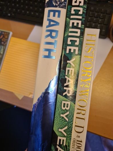 3 DK books Dorling Kindersley