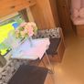Caravan Image 3