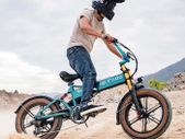Fiido M1 Pro Electric Bike
