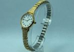 Rotary ladies watch