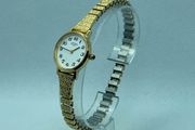 Rotary ladies watch