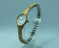 Rotary ladies watch