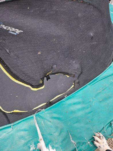 Trampoline