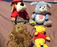 Musical teddies