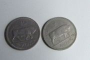 Pair of Irish shillings