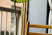 designer lamp