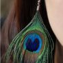 Eye-catching Peacock Feather Earrings Image 3