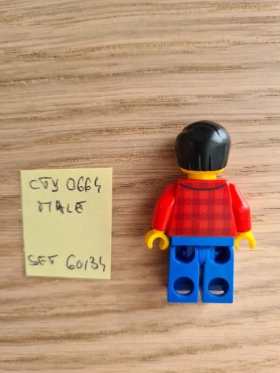 lego cty0664 male, set 60134