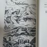 Duncton Found & Duncton Wood -Hardback- (price for both) Image 6