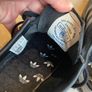 Adidas Paris trainers Image 6