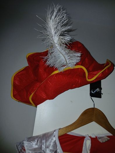 Musketeer halloween costume for men