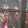 Ladies Luke Lovely Dress Size 12 Image 5