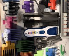 Wahl Cordless Hair Clipper Model 9179LP