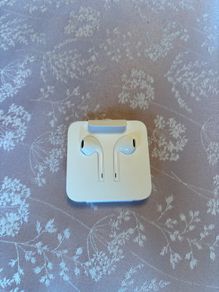 iPhone earphones (brand new)