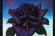 Thin Lizzy  Black Rose (A Rock Legend)