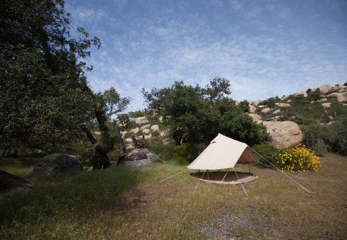 Professional TC Bell Tents  New 2026 Model